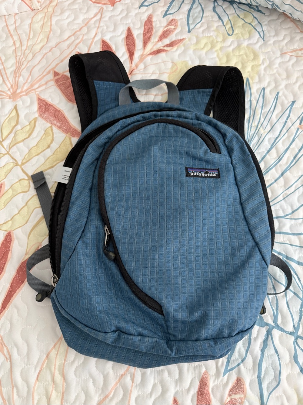 Patagonia Blue Daypack with Black Trim